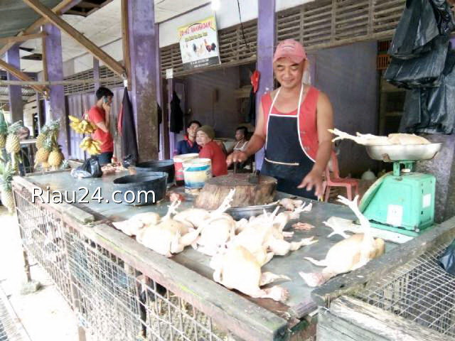 Harga Ayam Potong di Bengkalis Terus Meroket, Tembus Rp36.000 Per Kg